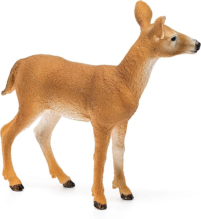Schleich Wild Life, Animal Figurine, Animal Toys for Boys and Girls 3-8 Years Old, White-Tailed Doe, Ages 3+
