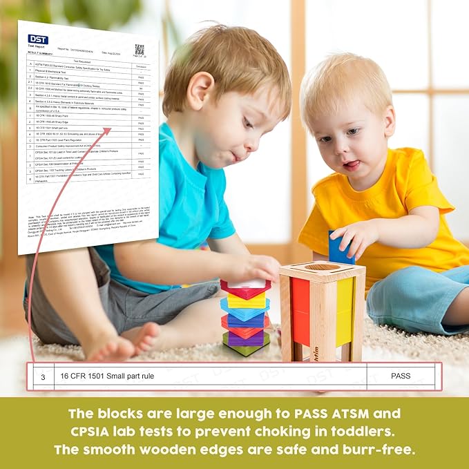 Montessori Toys for 2-4 Year Olds: Wooden Color Sorting Toys for Toddlers and Preschool Learning Activities, Fine Motor Development Sensory Toys, Educational Busy Board Gifts for 3-5 yr Boys and Girls