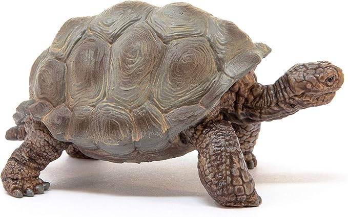 Schleich Wild Life Realistic Exotic Galapagos Giant Tortoise Figurine - Wild Animal Figurine Giant Tortoise Toy for Wildlife Play and Imagination for Toddlers Boys and Girls, Gift for Kids Age 3+