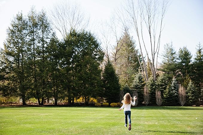 6 Piece Tegu Pocket Pouch Prism Magnetic Wooden Block Set, Nelson
