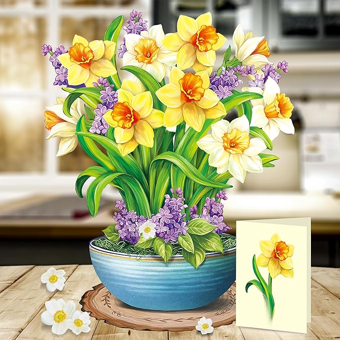 Airpark Pop Up Cards, 12‘’ English Daffodils, Paper Flowers Bouquet 3D Popup Greeting Cards with Blank Note Card and Envelope for Birthday, Get Well Cards Gifts for Women Her