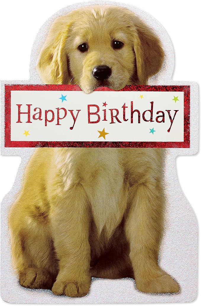 American Greetings Birthday Card (Couldn't Ever Forget)