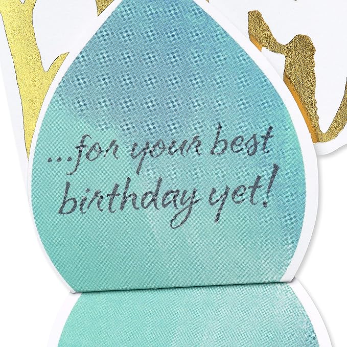 American Greetings Birthday Card (Great Big Wish)